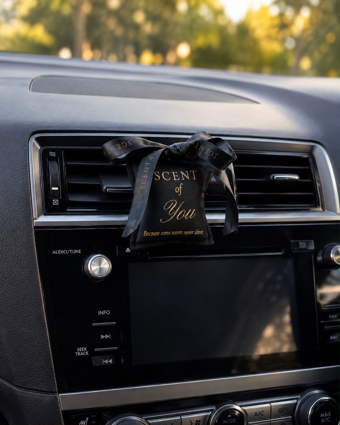 The black fragrance sachet clipped to a car air vent